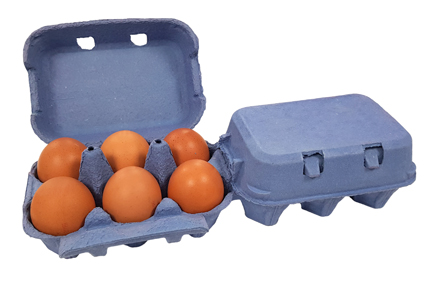 lETON Flat Top 2x6 Egg Box, Blue, 130/260 (130 Doz.)