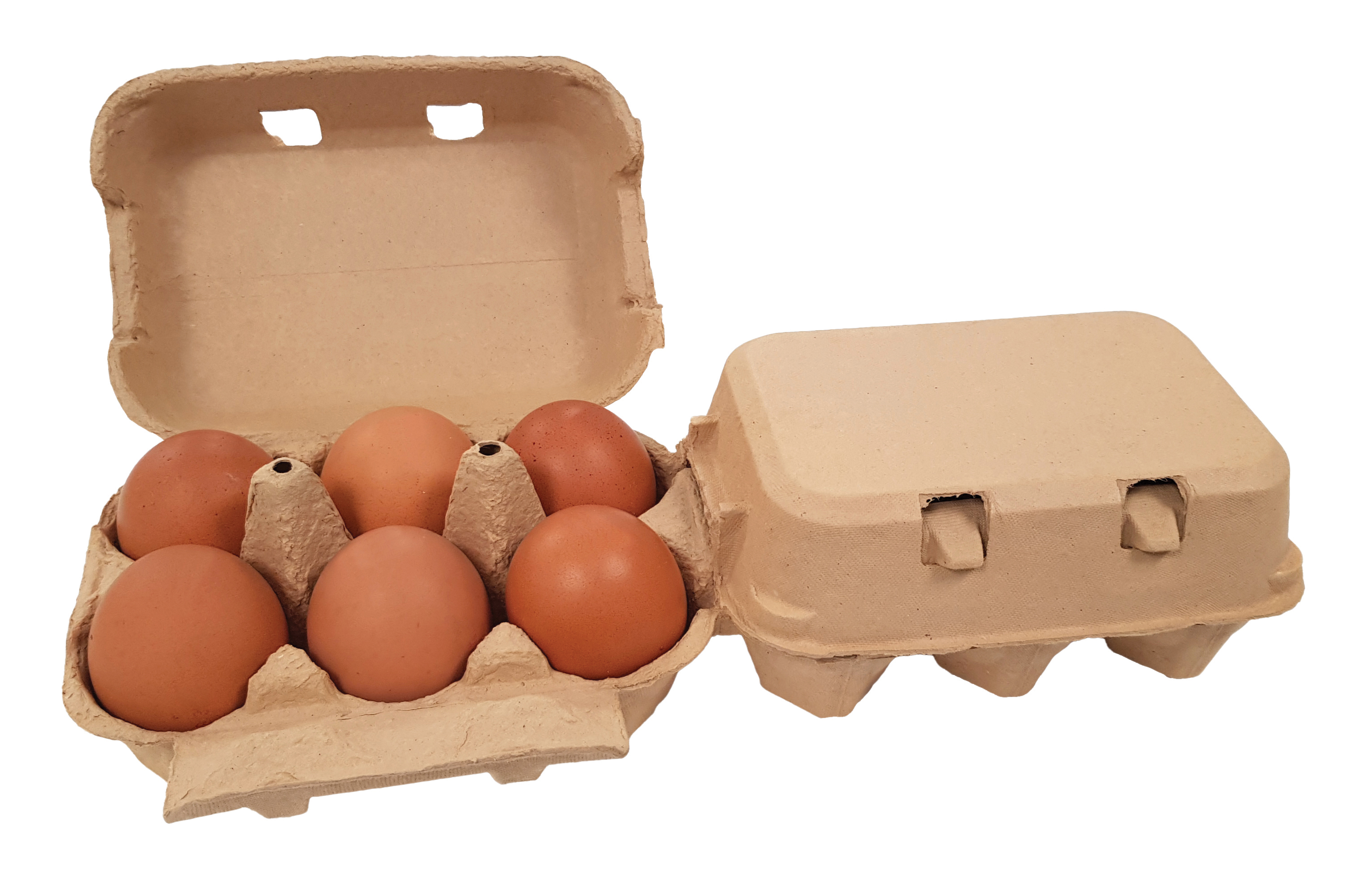 ETON Flat Top 2x6 Egg Box, Brown, 140/280 (140 Doz)