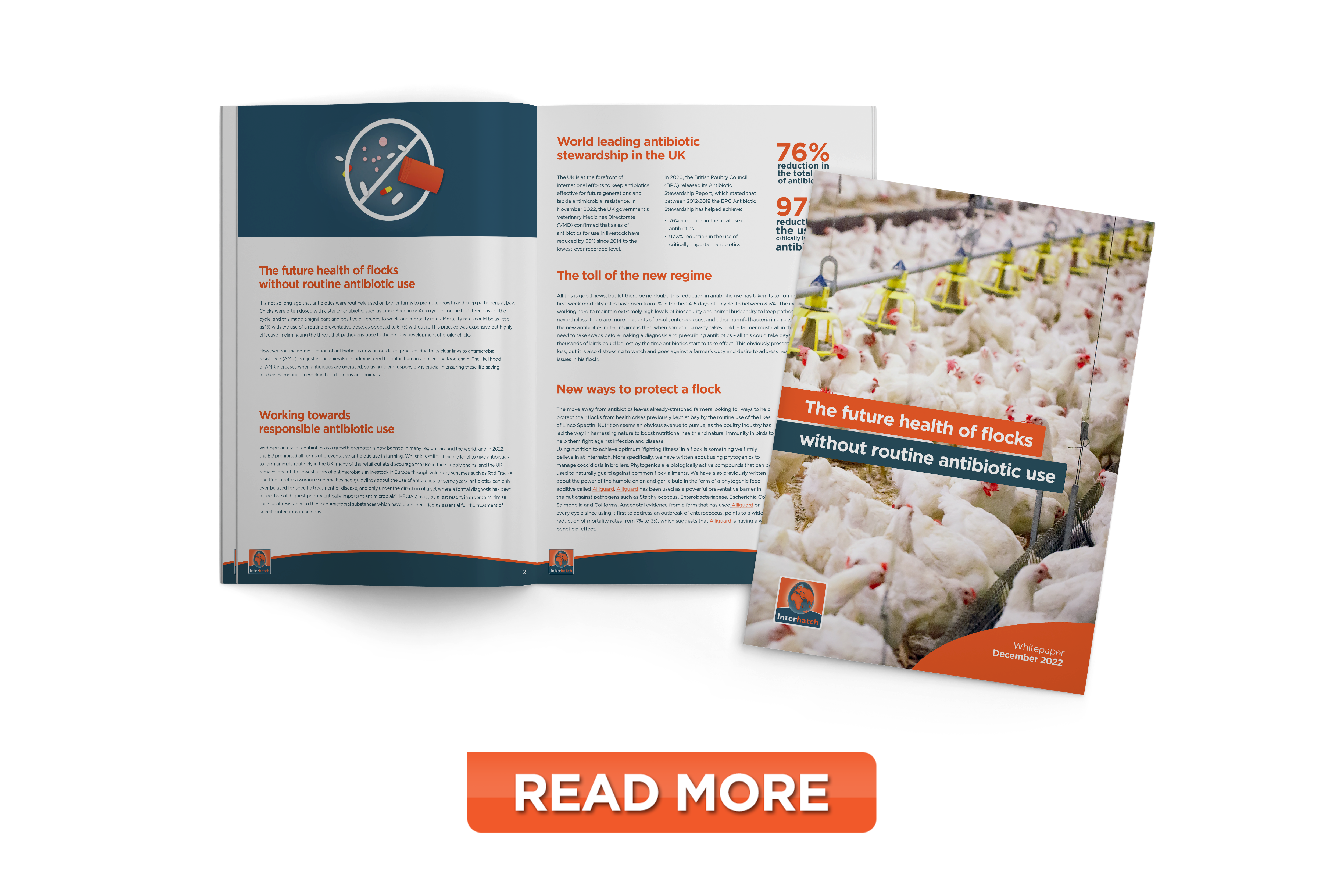 The future health of flocks without routine antibiotic use