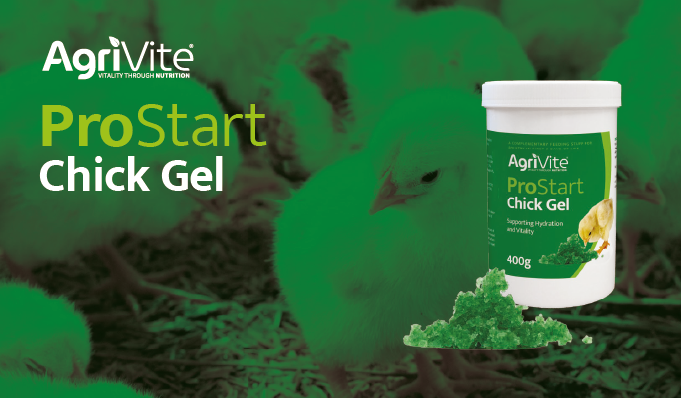 Give chicks the best start with ProStart Chick Gel