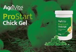 Give chicks the best start with ProStart Chick Gel