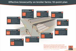 Effective biosecurity on broiler farms: 10-point plan