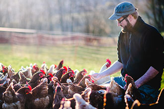 Interhatch Poultry & Avian Products