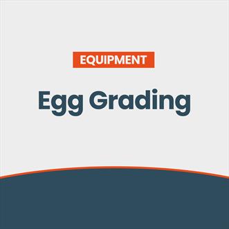 Egg Grading