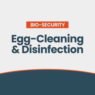 Egg Cleaning & Disinfection