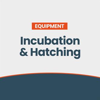 Incubation & Hatching
