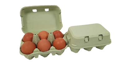 ETON Flat Top 2x6 Egg Box, Green, 130/260 (130 Doz.)