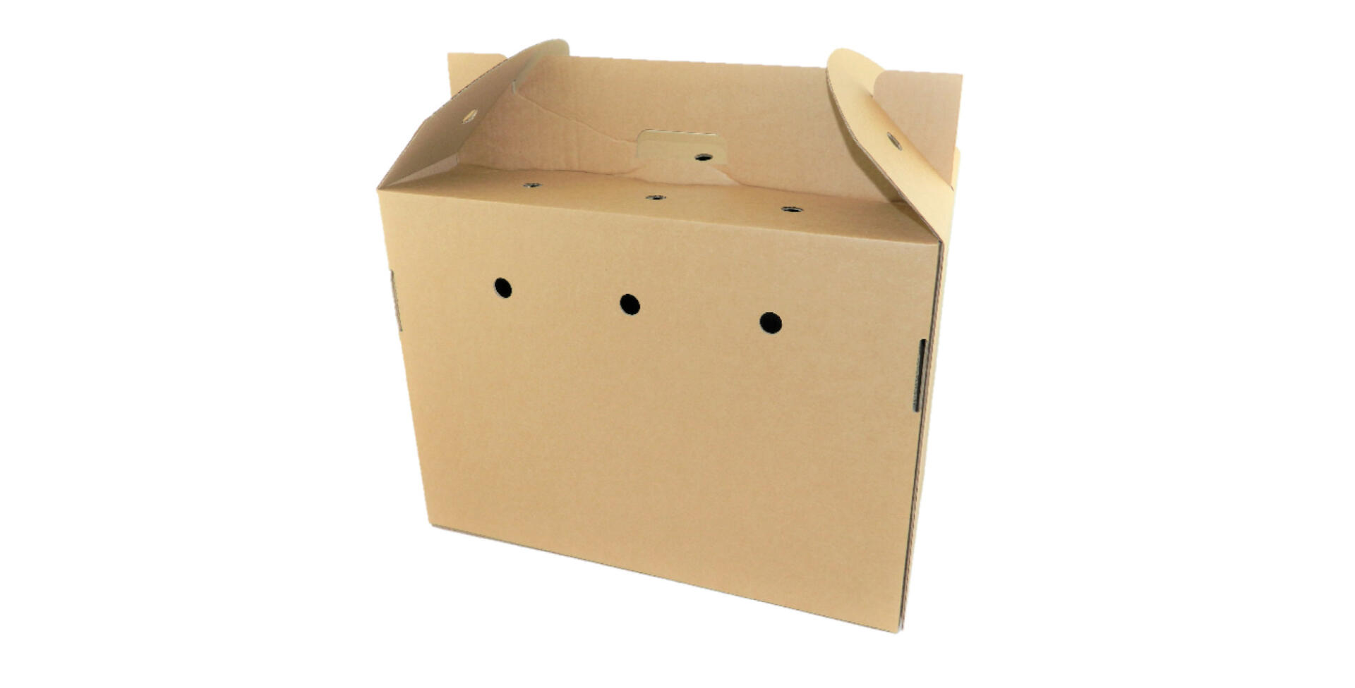 Cardboard Small Animal Carrying Box (Suitable for Poultry) - 10 Pack