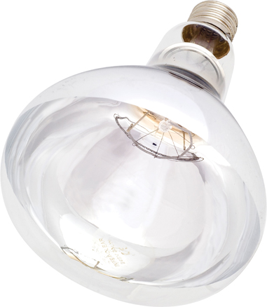 Intelec® Hard Glass Infra-Red Bulb, Clear Glass, 150 Watt