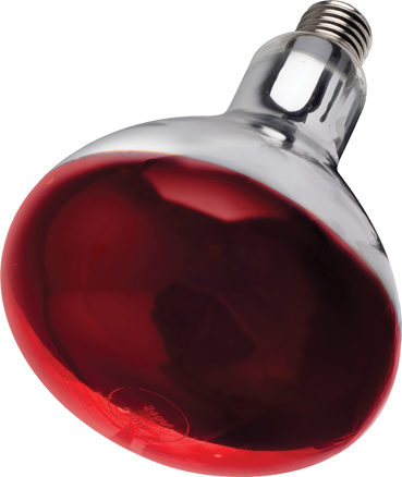 Intelec® Hard Glass Infra-Red Bulb, Ruby Glass, 150 Watt