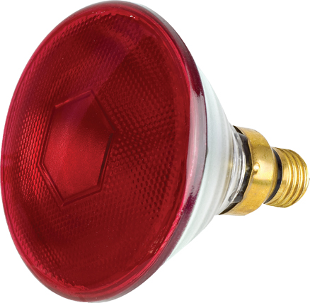 Intelec® PAR38 Glass Infra-Red Bulbs, Ruby, 175 Watt