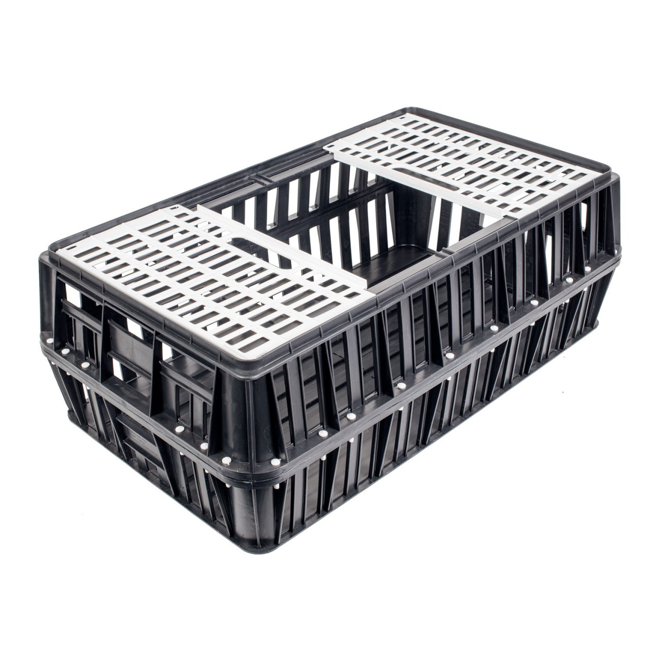 Chicktec Plastic Solid Base Poultry Crate, Black and White.