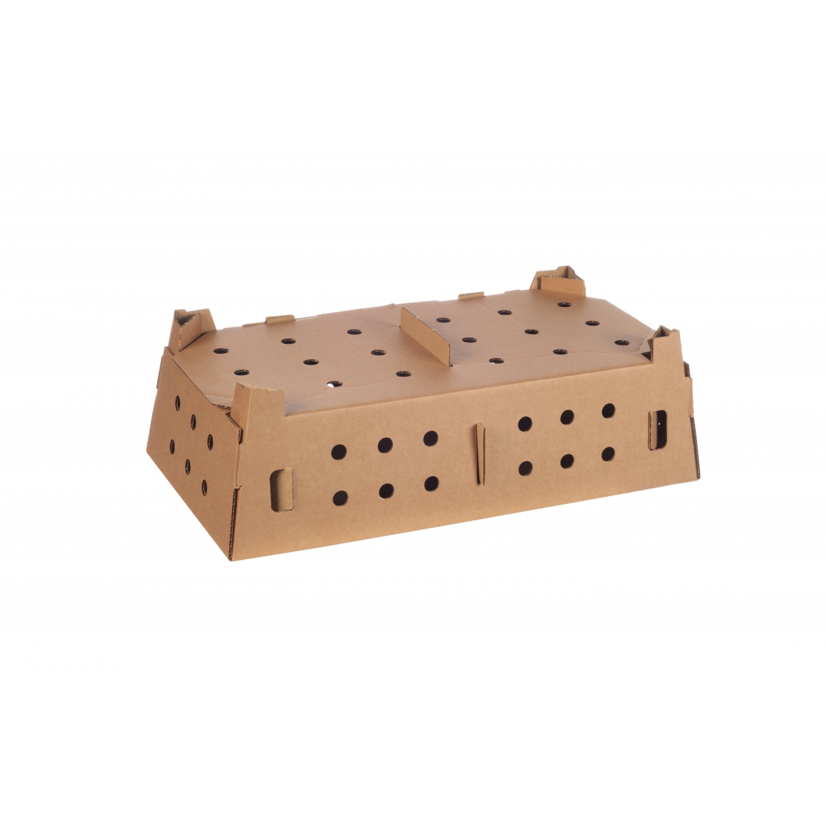 Chick Transport Box - Double, Pack 100