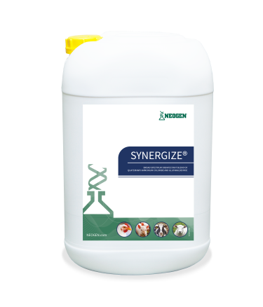 Synergise, 25L